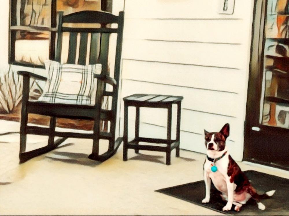 A dog in front of the office by a rocking chair at SAVANNAH LAKES RV RESORT