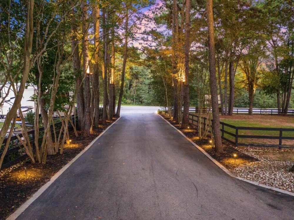 Road leading between trees and fence at MAJESTIC PINES RV RESORT