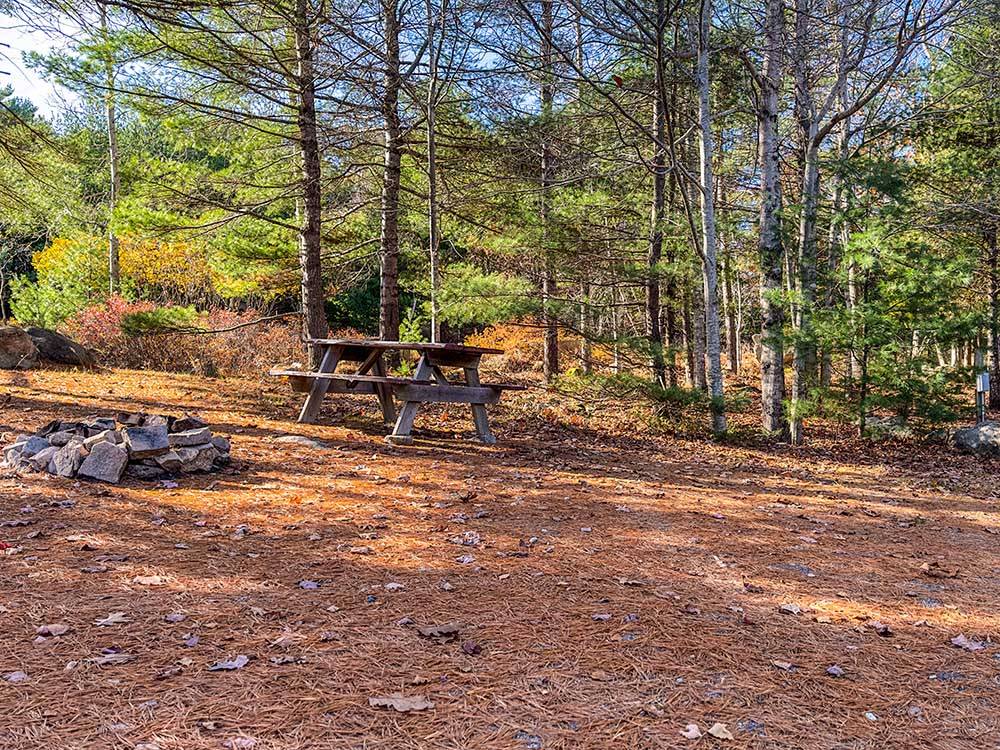 A picnic bench and fire pit at a tent site at HTR ACADIA