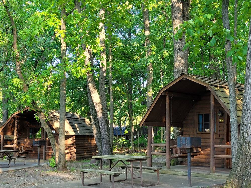 Cabins surrounded by tall trees at ELKHART RV RESORT BY RJOURNEY
