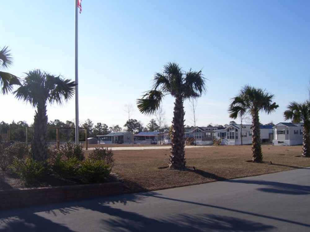 View of park models and palm trees from road at TOPSAIL SOUND RV PARK