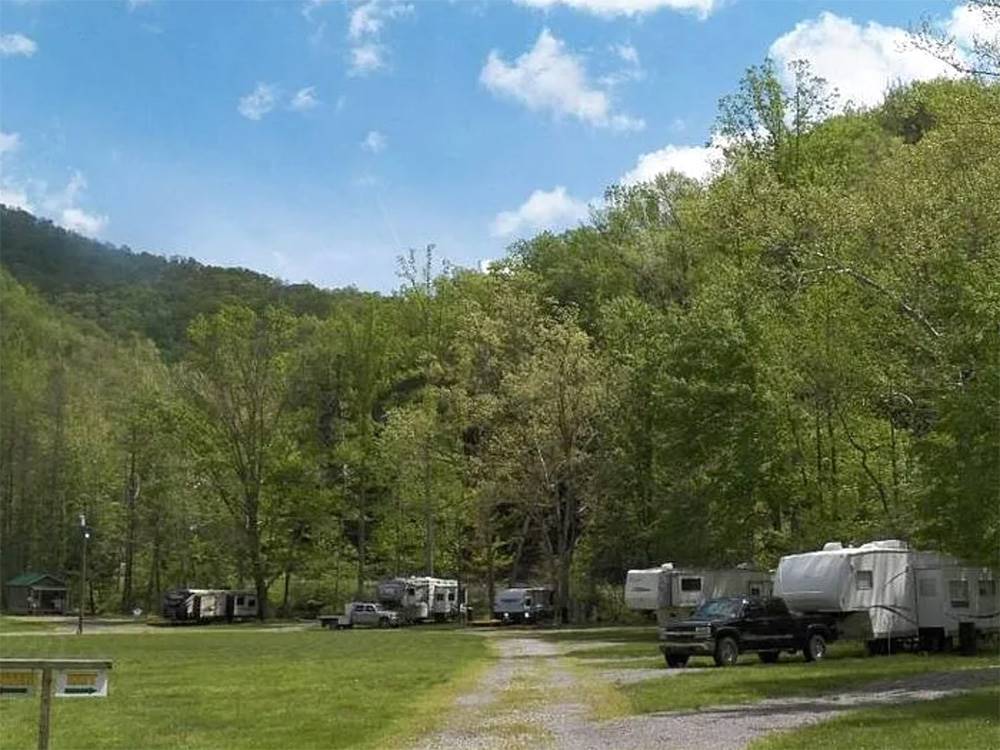RVs parked at sites under tress
