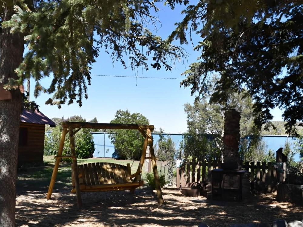 Swing under the trees