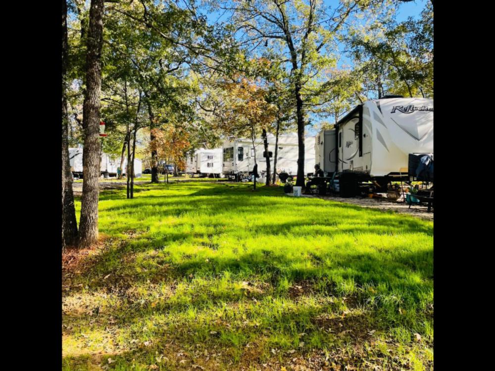 Rvs, trees and green belt at Roy's RV & Resort
