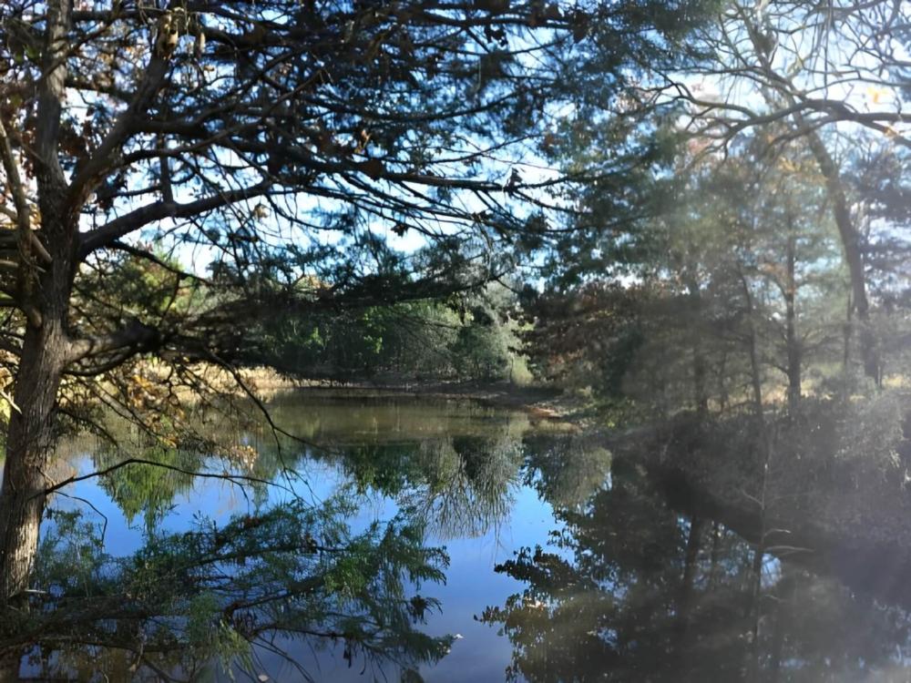 Lake at site RV Texoma