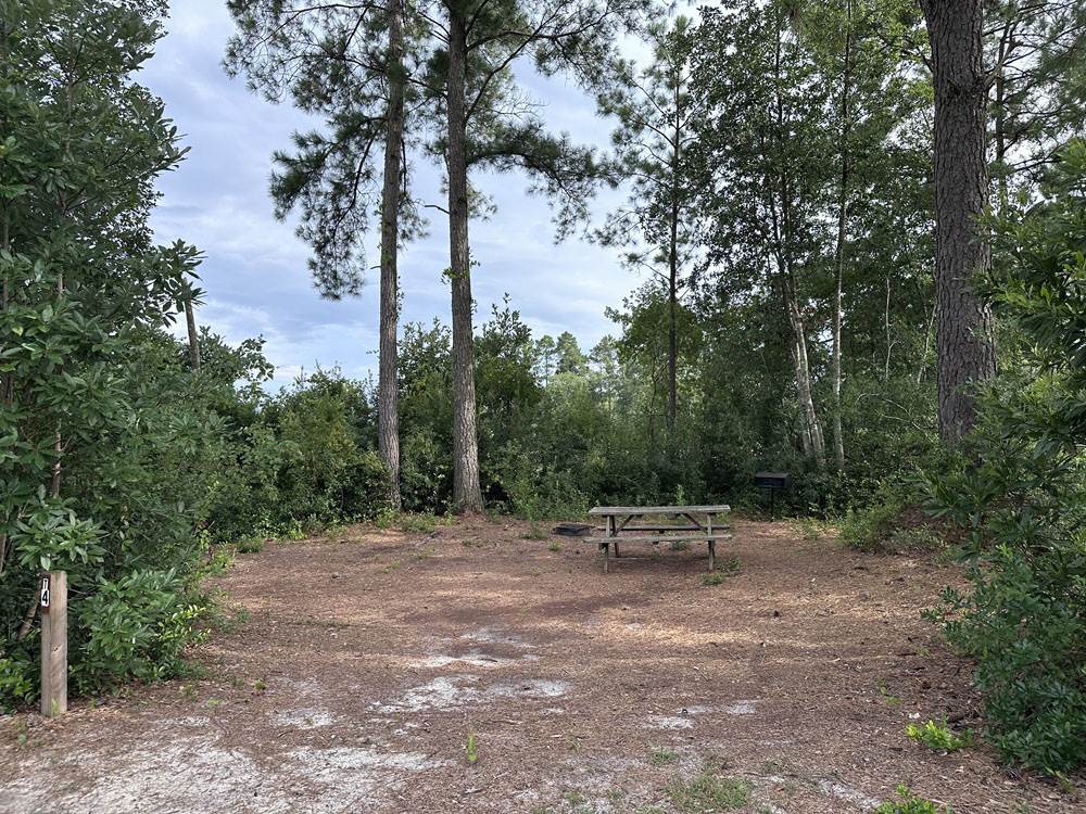A site with a picnic table