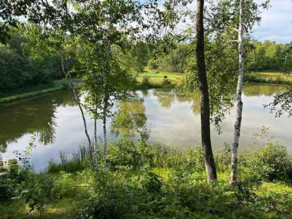 Lake with trees at Split Ridge Campground