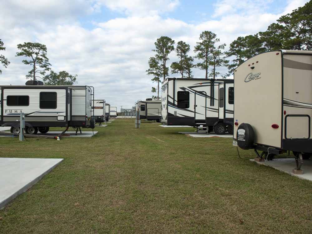 RVs parked back to back in concrete sites at ROYAL OAKS RV PARK