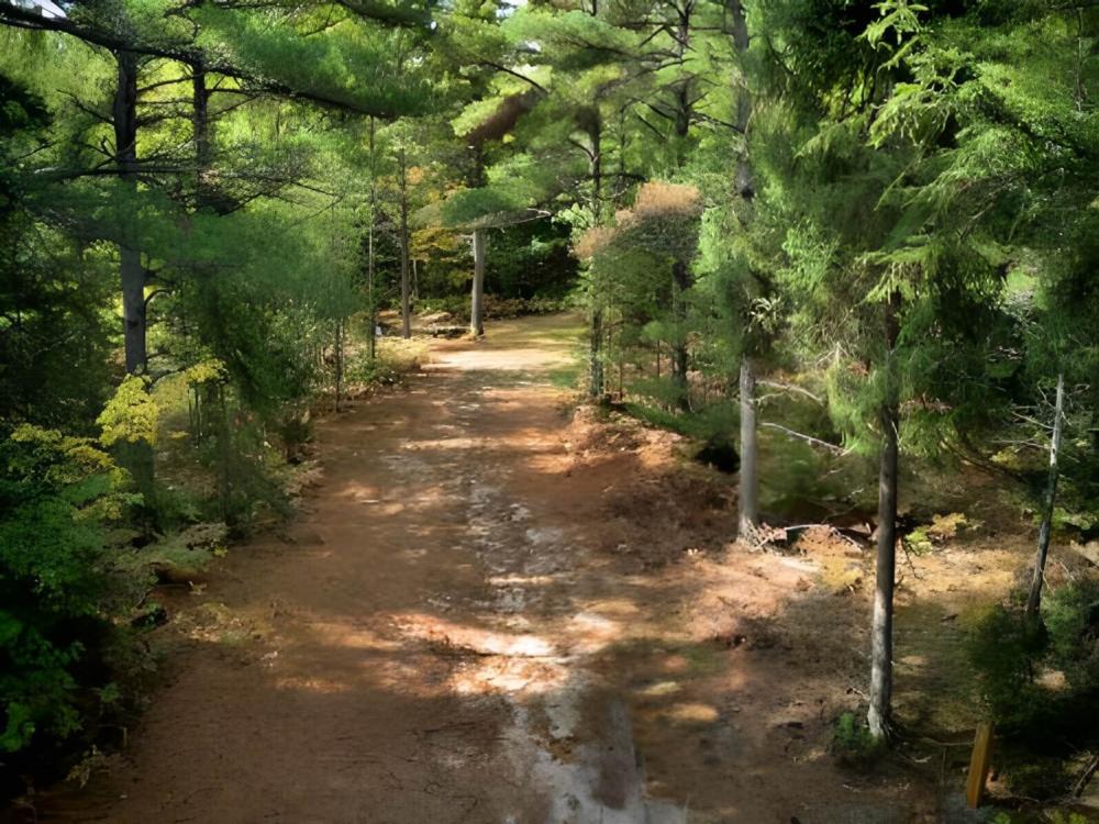 Walk way at site JoeIda Campground