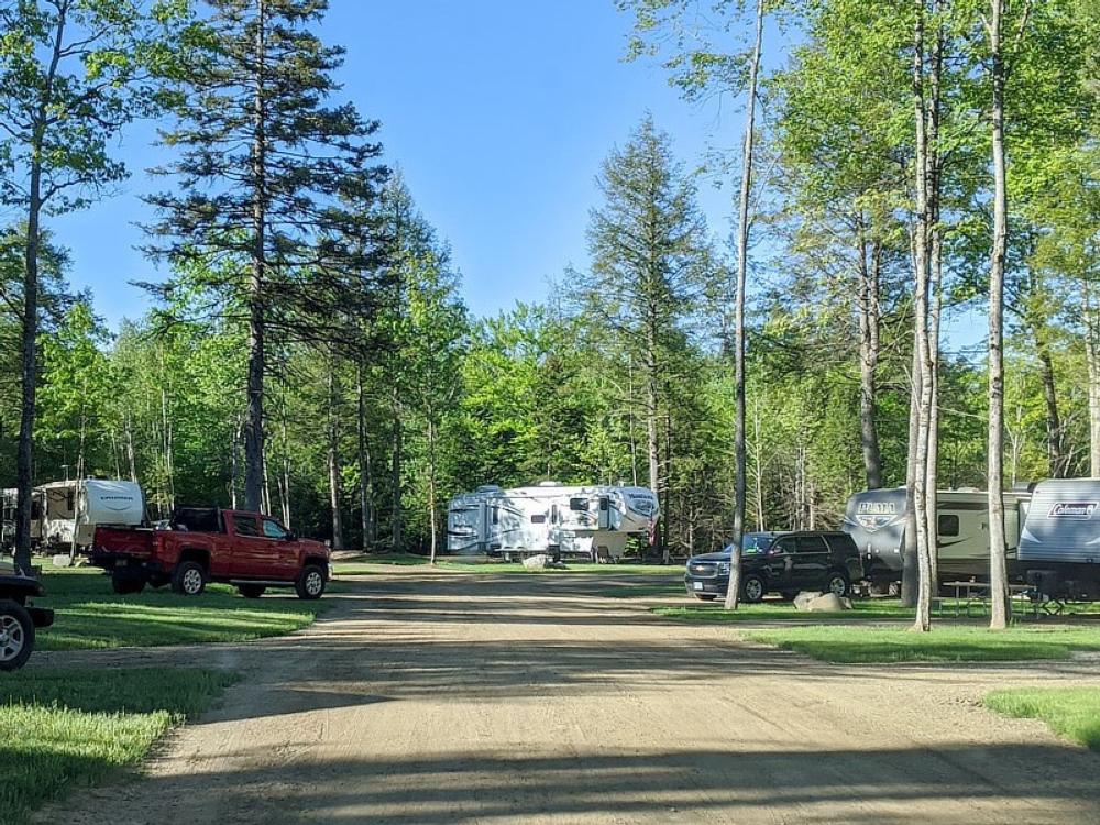 Sites by the trees at Cole's Mine RV Resort and Campground