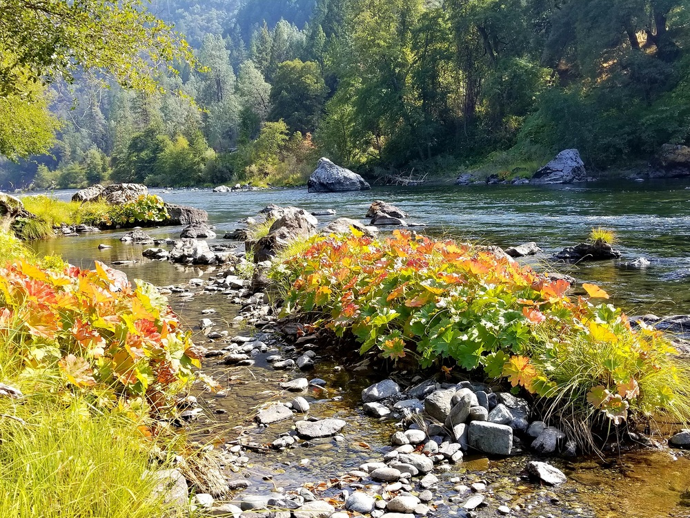 Creek at Strawhouse Resorts and Cafe