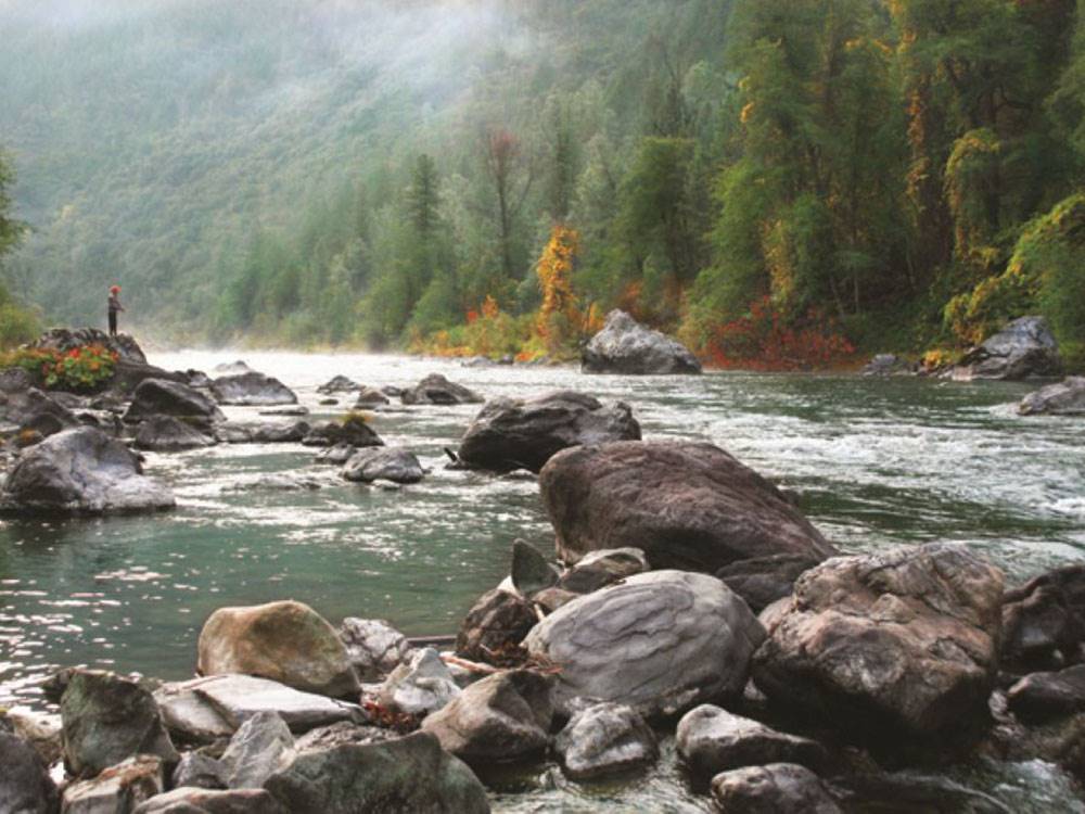 A person fishing in the river