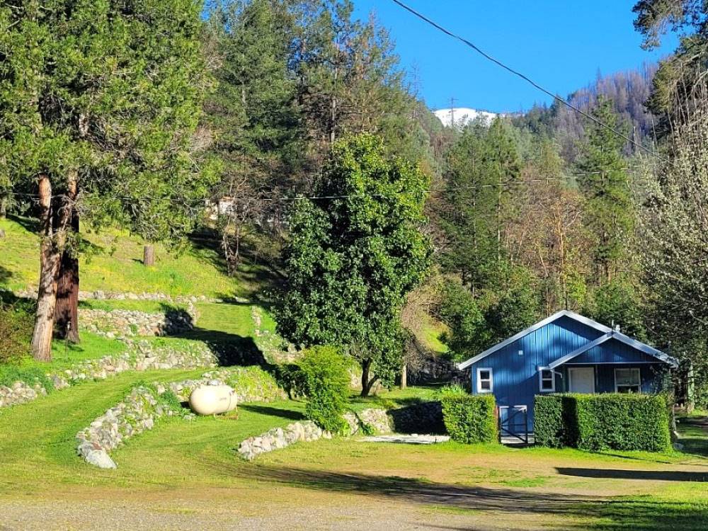 A blue house surrounded by trees