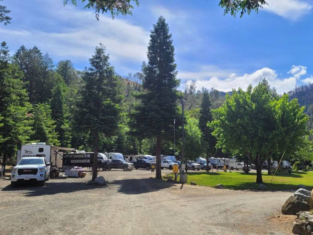 RV sites among the trees