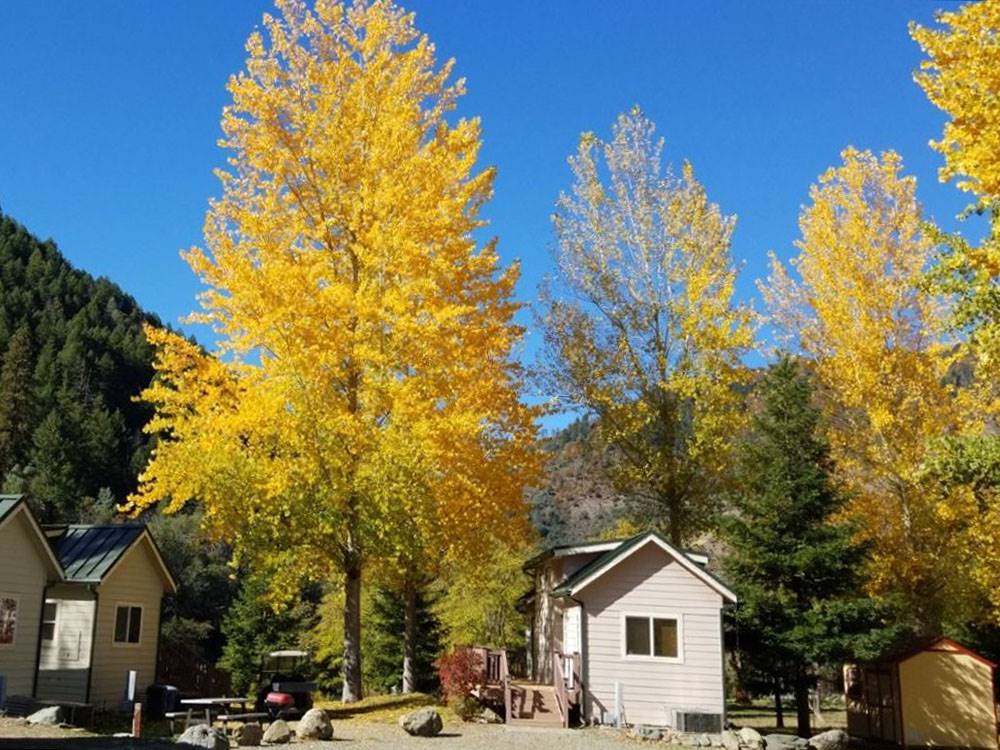 Rental cabins among fall trees