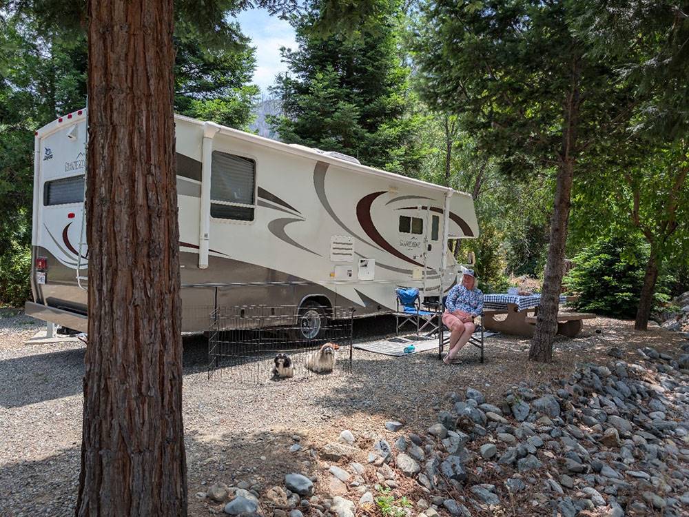 A large motorhome in a shady spot