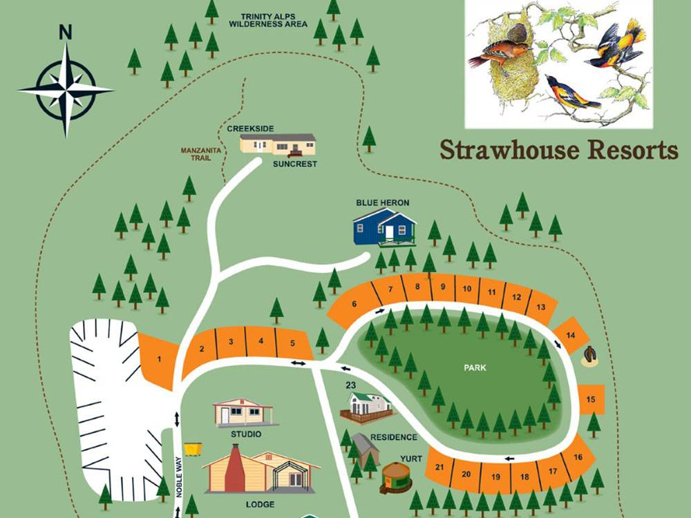 The park Map