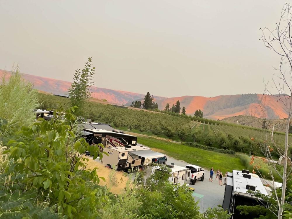 Parked RV's with vineyard views at site Summerhill Farm