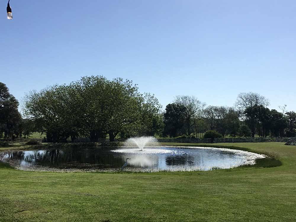 The pond with a fountain at IRON HORSE RV RESORT