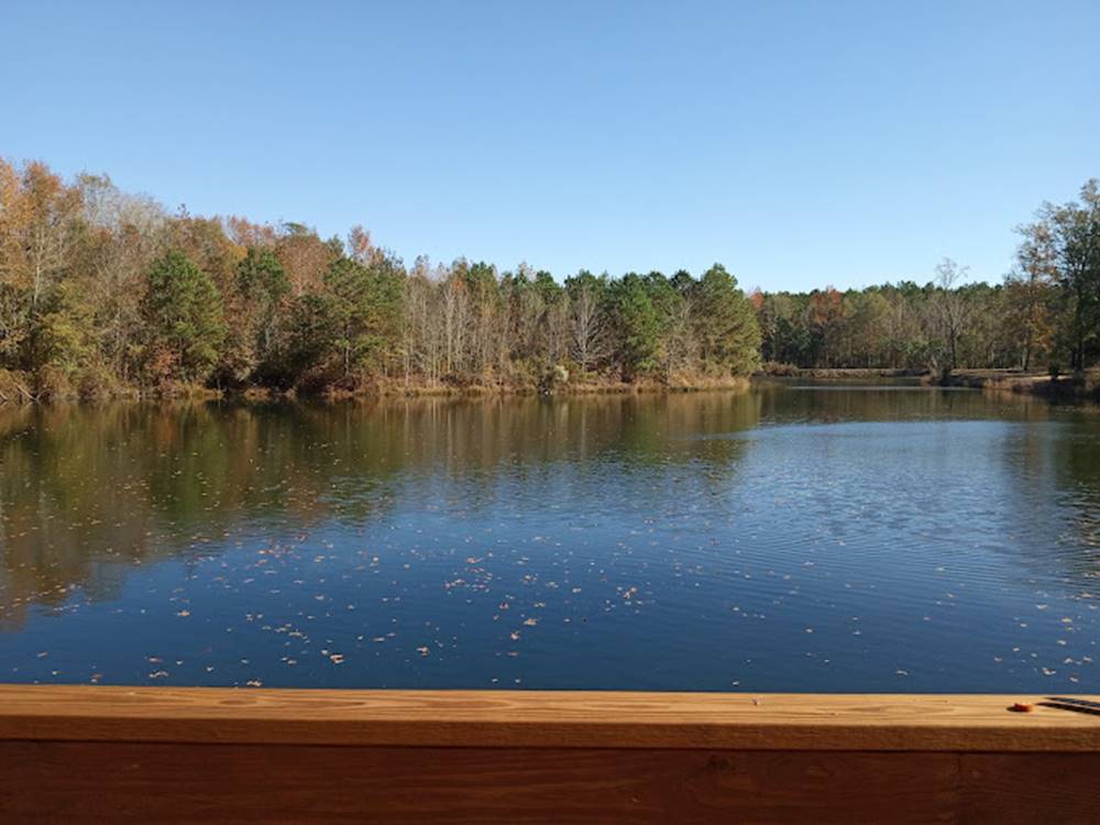 A view of the water surrounded by trees at Midpoint I-95 RV Park