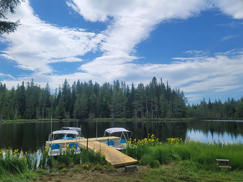 View of the lake at Ladd Pond Cabins and Campground