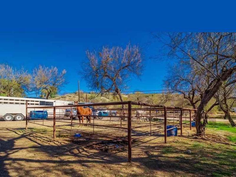 Horses at Lady Lottie Roping Camp
