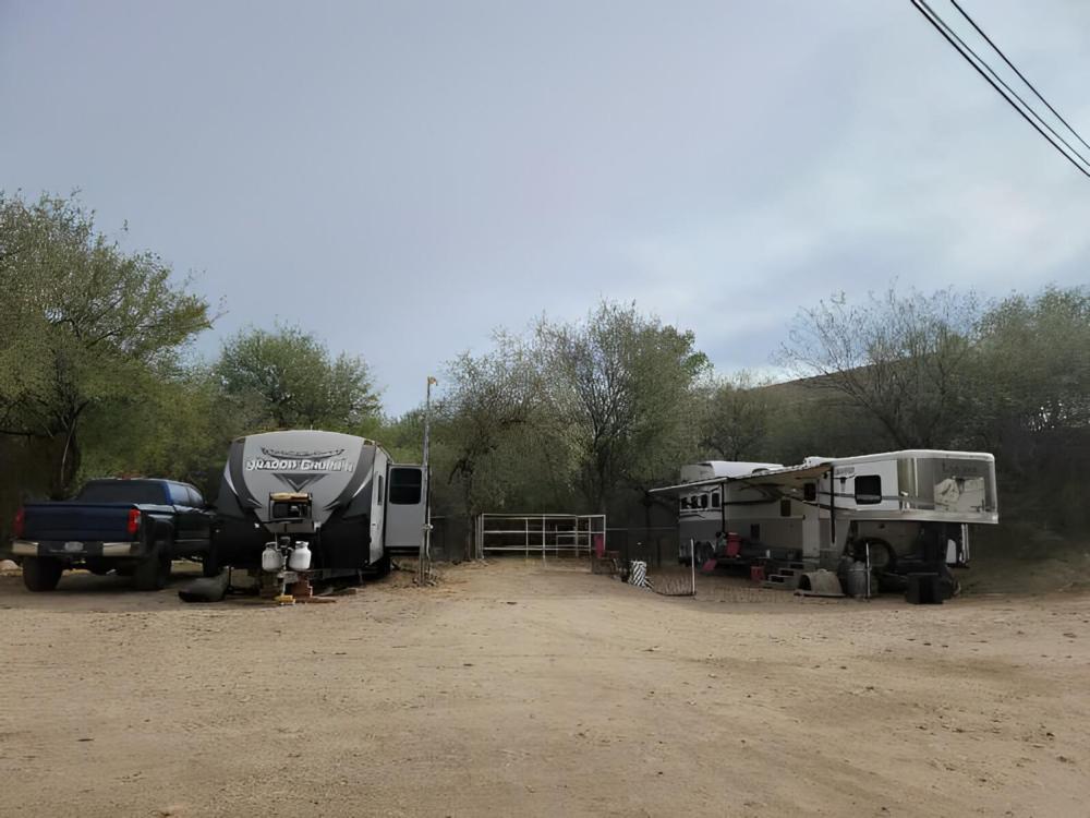 RVs parked in sites