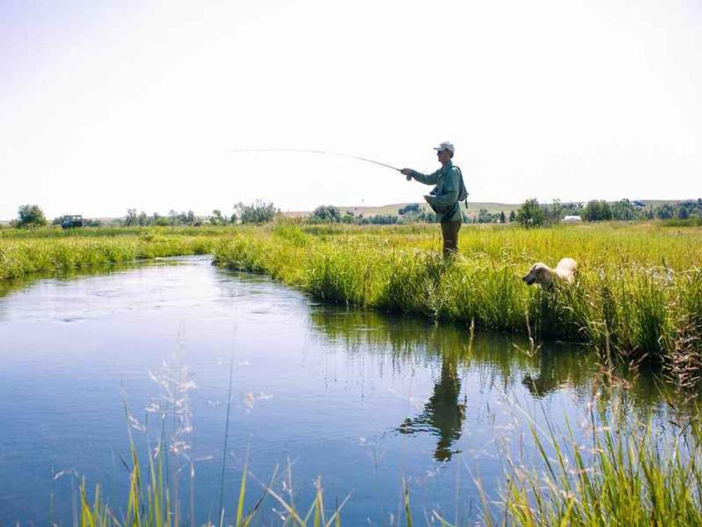 Man fishing with dog at Tower Valley RV Park