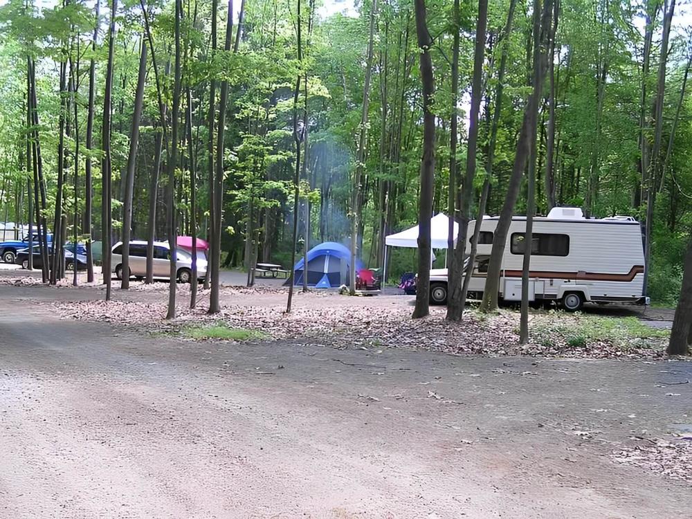 RV and tent in a treed site