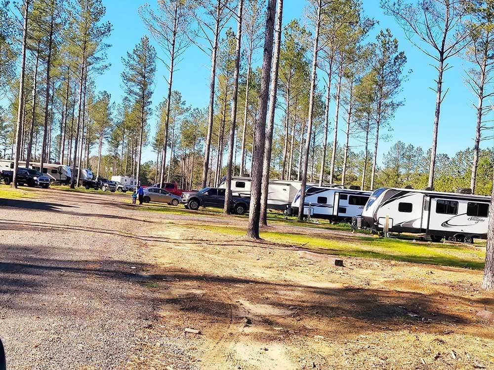 A row of travel trailers parked in sites at DREAM RV PARKS