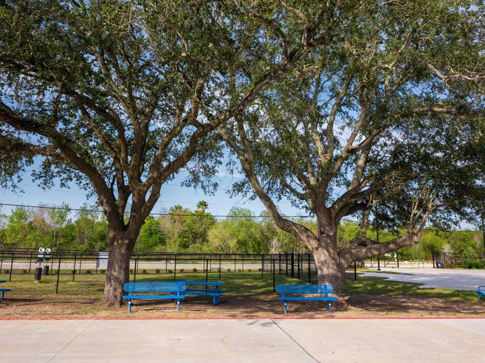 Shaded area with benches around dog areas at Medical Center RV Resort