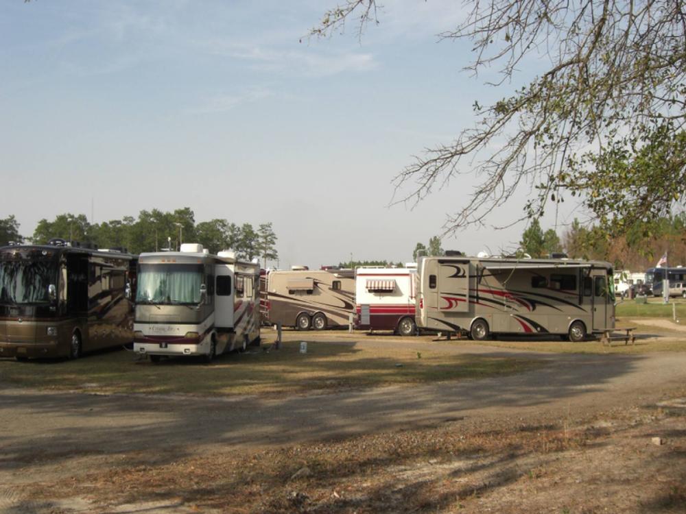 Several class A motorhomes at Moultrie RV Park