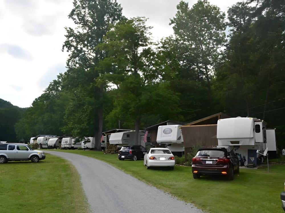 Parked RV's at site Mountain View RV Park - Roan Mountain