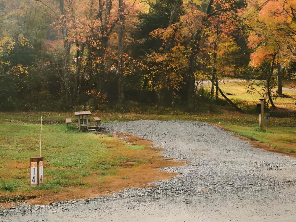 Open RV space at site Emberglow Outdoor Resort