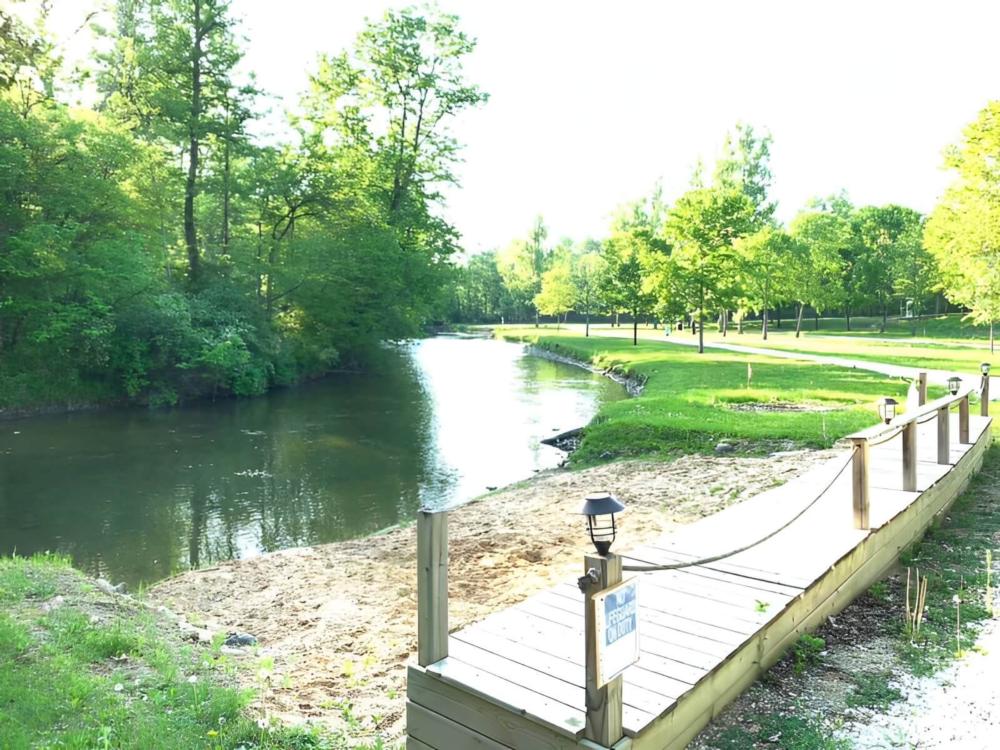 Boardwalk by the creek