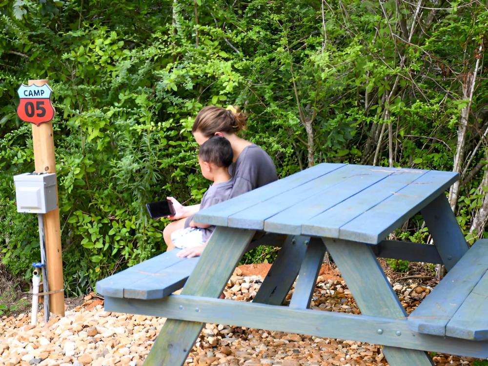 Panic area at site Flynn's Camping Grounds