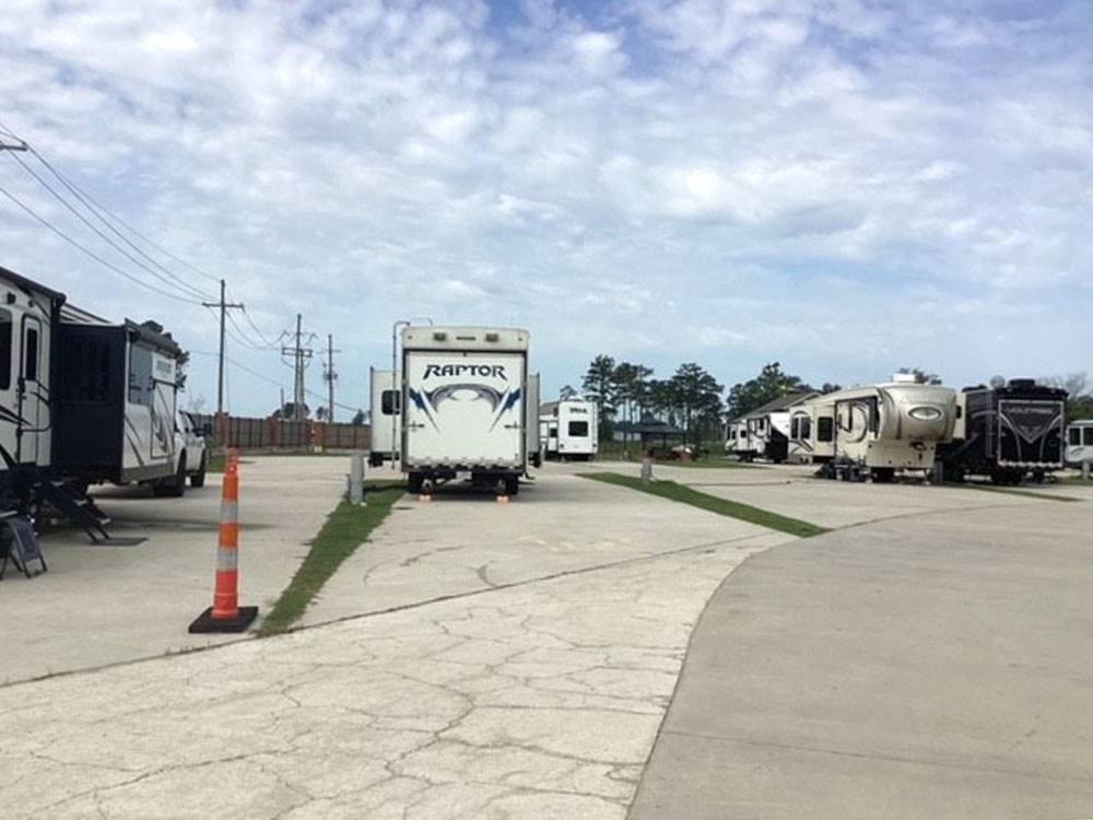 Travel trailers parked at sites at Gator RV Park