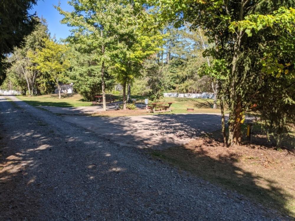 Tree lined gravel sites at Grand Canyon Motel Resort & Campground