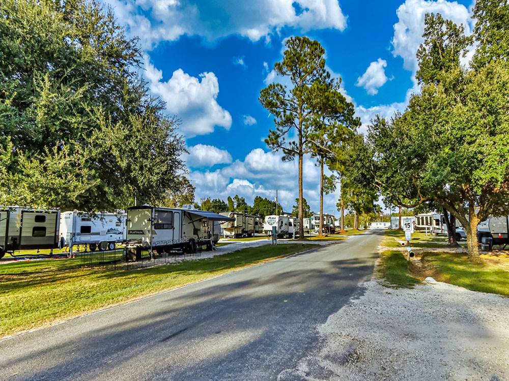 Travel trailers at shaded sites
