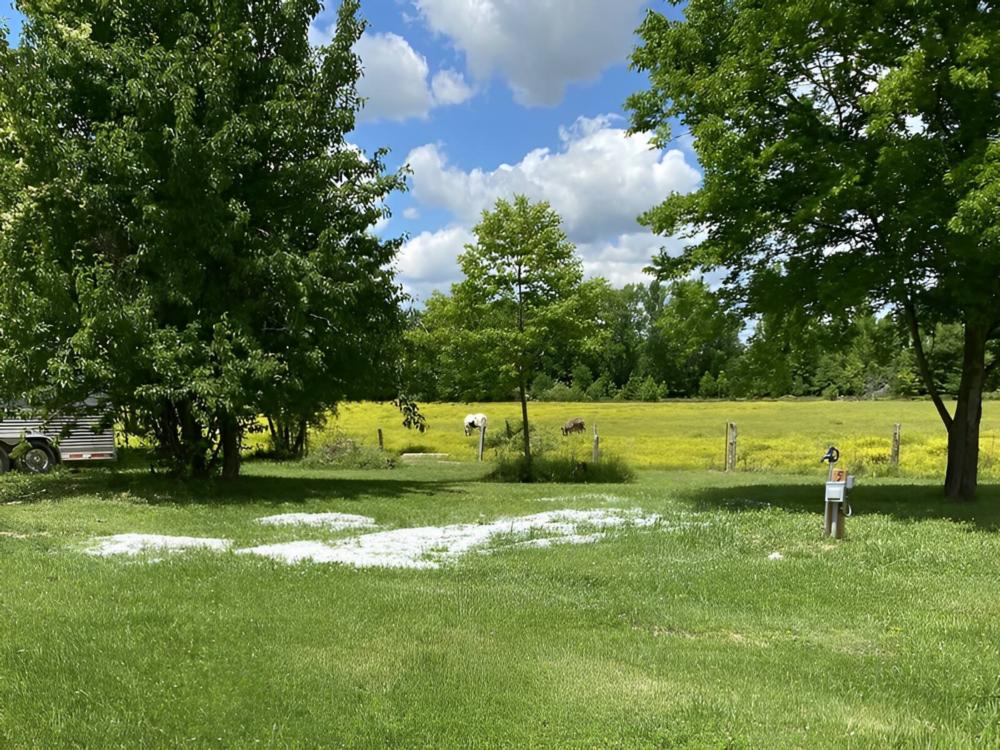 Open RV site at Peaceful Acres at Plato's Branch