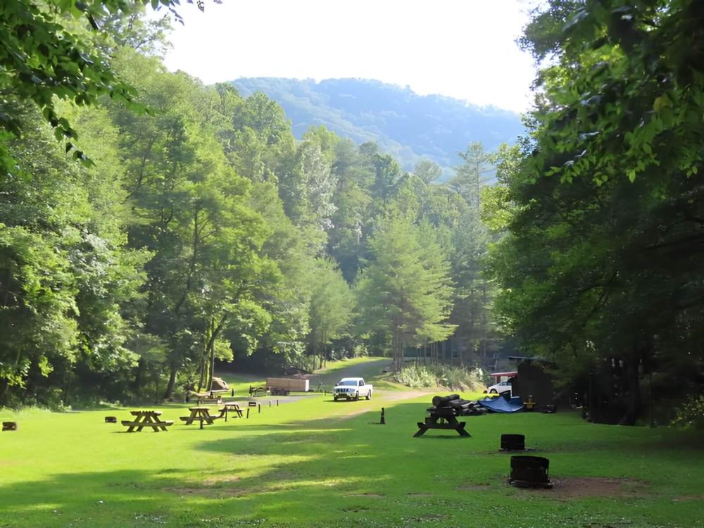 Open grass area with panic tables at site Black Bear Resort
