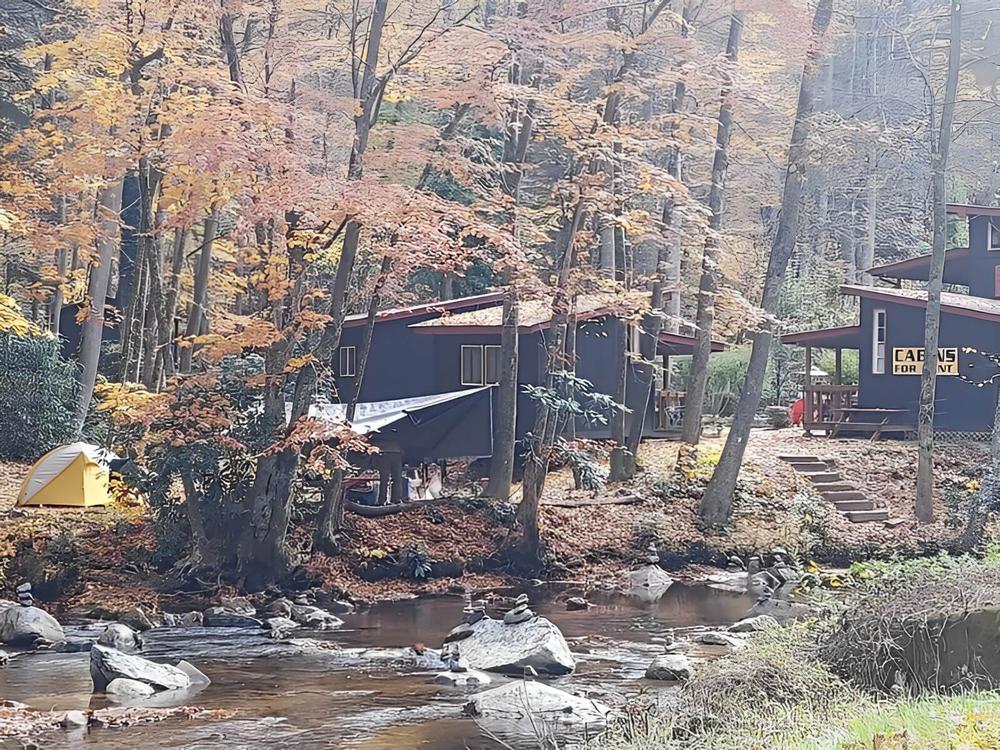 Cabins by a stream