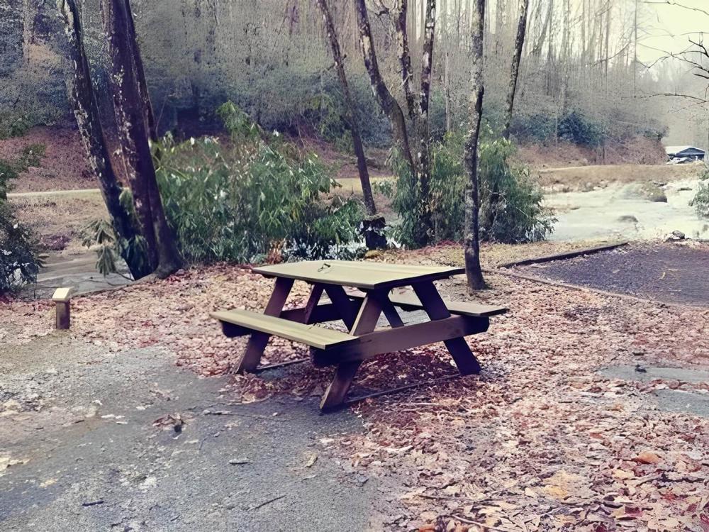 Table at campsite