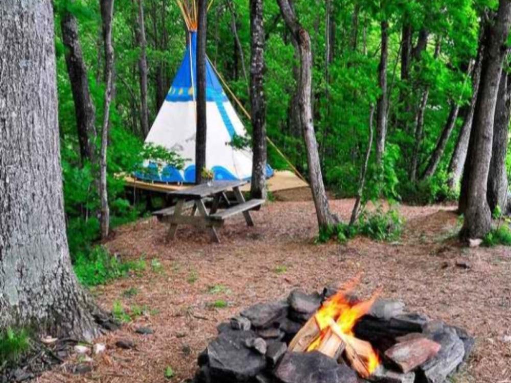 Tent site with at Blue Bear Mountain Camp