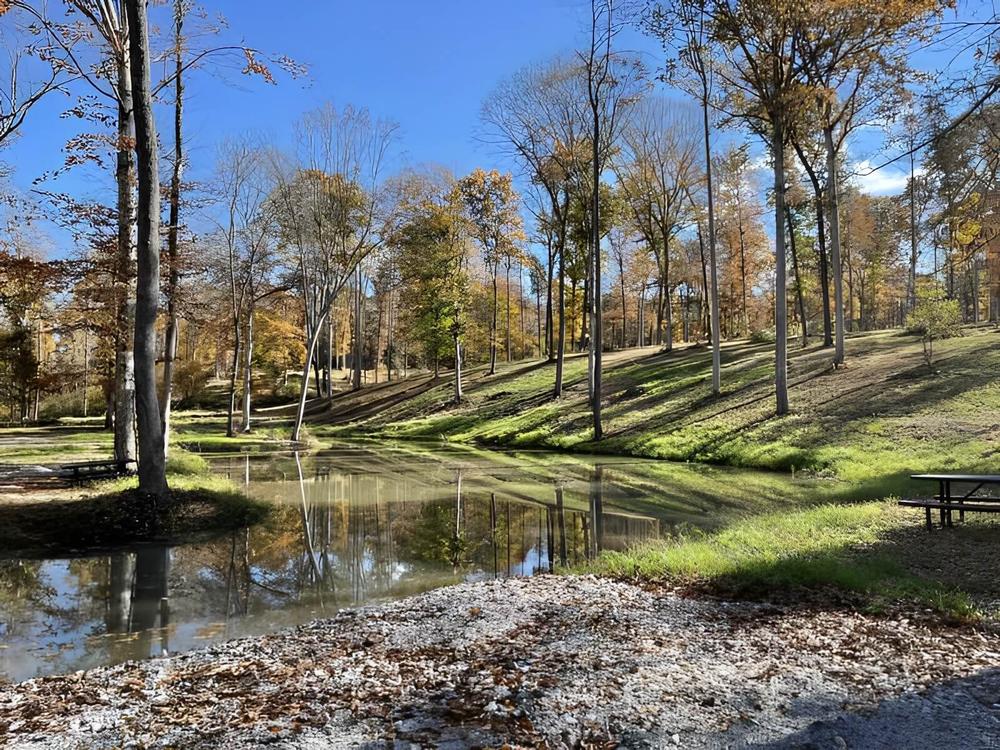 Creek at Red Coach Resort