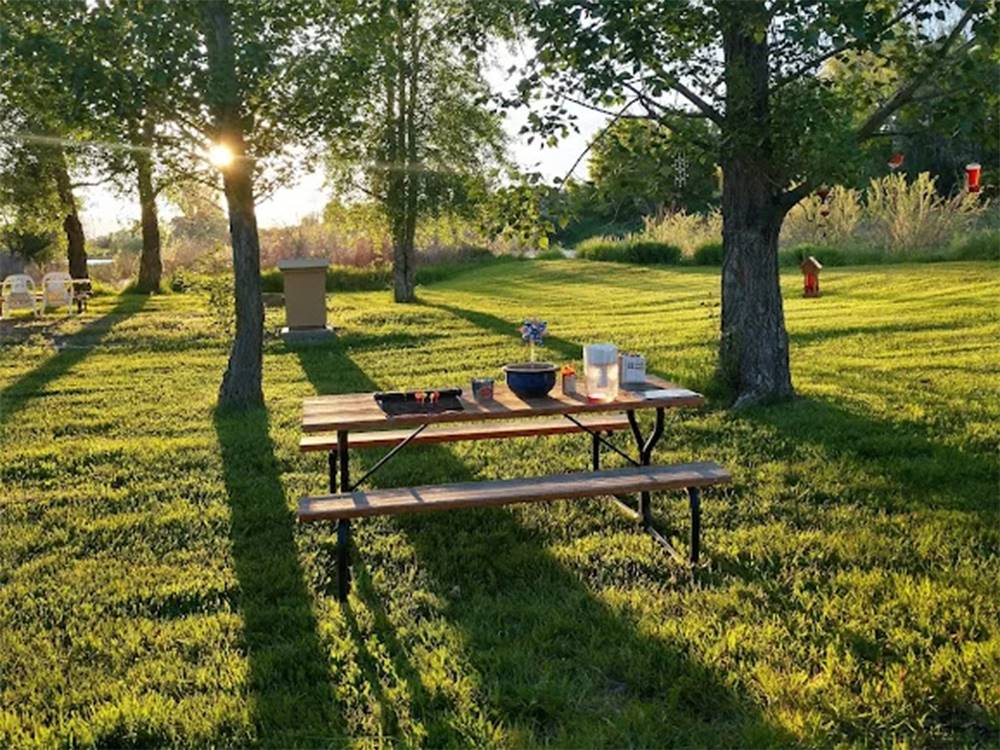 Sunny picnic table overlooking grassy field