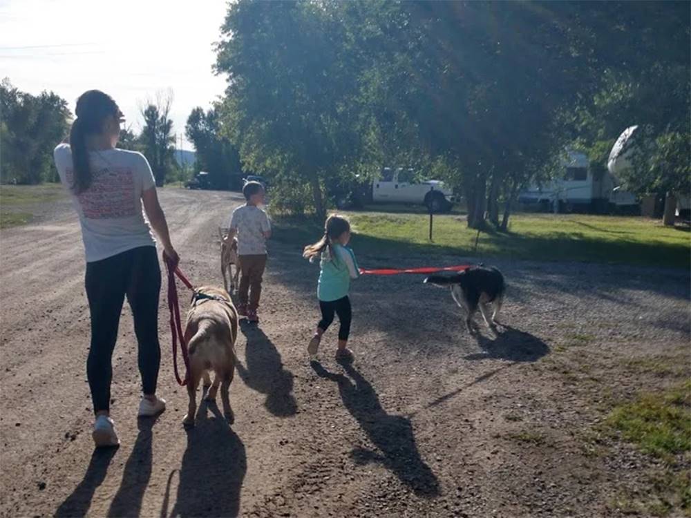 Family walking their dogs nearby