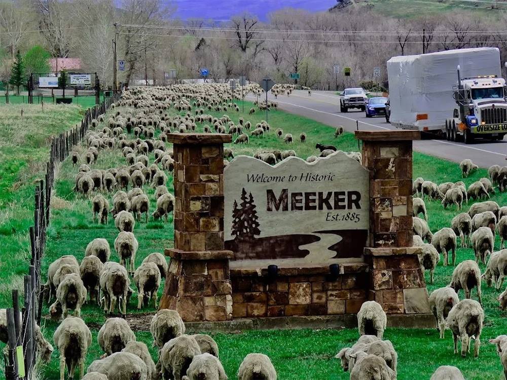 A large group of sheep grazing next to "Welcome to Historic Meeker" sign