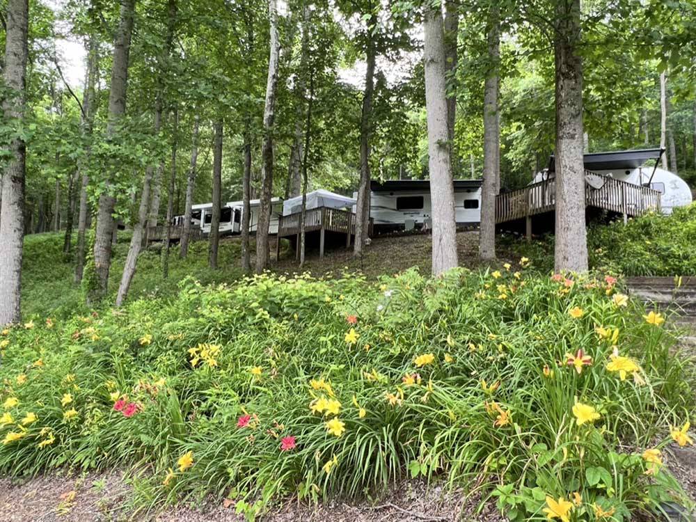 Trailers parked in sites uphill at PLUMTREE CAMPGROUND AND RETREAT