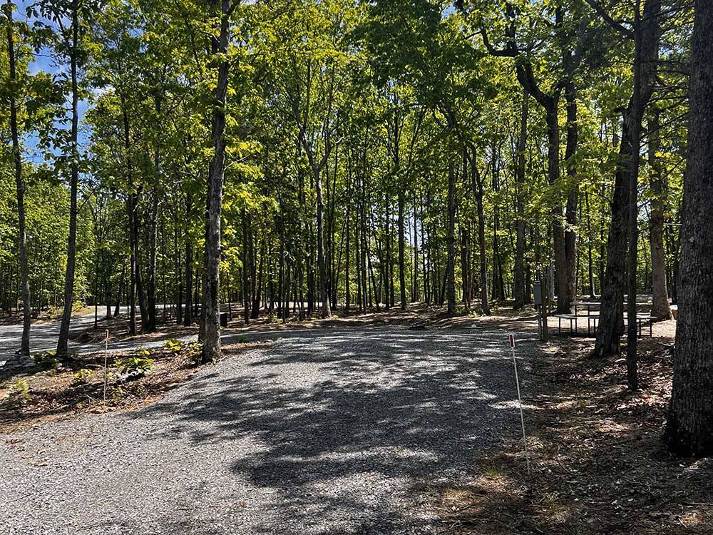 An gravel RV site surrounded by tall trees at CLOUD CAMP